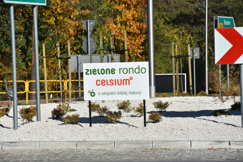 Starachowice: Ornitologiczne Zielone Rondo Celsium na ulicy Radomskiej. To będzie wizytówka miasta