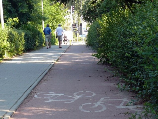 Gałęzie rozrośniętego żywopłotu zajmują część drogi rowerowej między aleją Grzecznarowskiego i ulicą 1905 Roku.