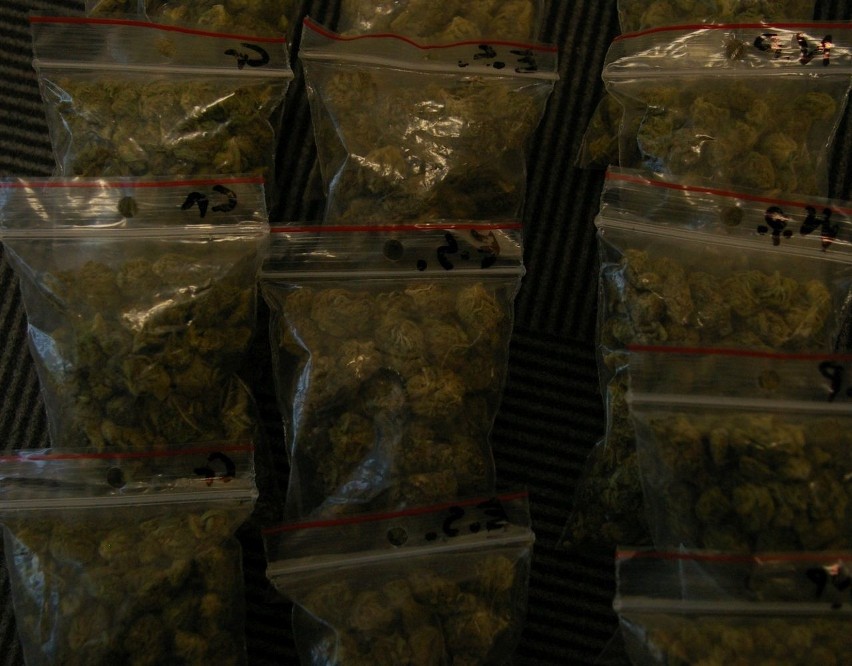 Białystok. Mundurowi zabezpieczyli ponad kilogram narkotyków (zdjęcia)