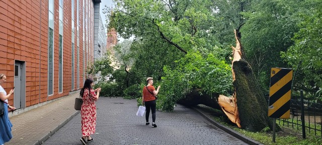 Skutki wichur w Bydgoszczy - zalane ulice, połamane drzewa i konary w centrum miasta. Więcej zdjęć na kolejnych stronach ----->