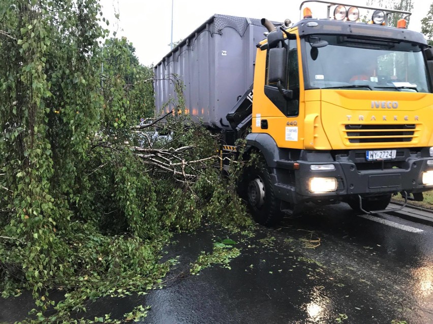 Burza w Łodzi. Nawałnica nad Łodzią. Powalone drzewa, gałęzie na drogach, zalane ulice [ZDJĘCIA]