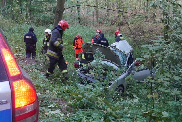 Strażacy wydobywają poszkodowanych