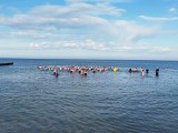 Niedzielna kąpiel morsów w Mielnie. Chłód im nie straszny! [ZDJĘCIA]