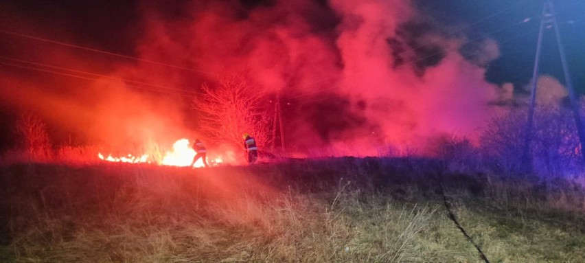 Pożary traw i nieużytków w Zachodniopomorskiem. Strażacy codziennie wyjeżdżają w pole