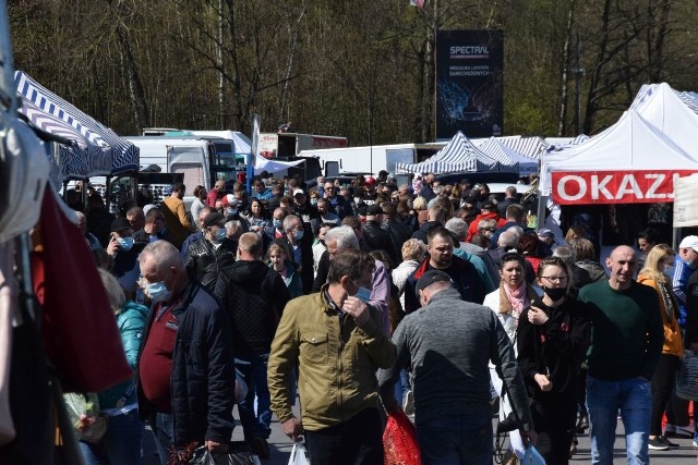 W niedzielę giełda w Miedzianej Górze przeżyła prawdziwe oblężenie. Żeby dostać się w okolice miejsca handlu trzeba było odstać w korkach około godzinę. Zablokowane były wszystkie drogi prowadzące do giełdy - od Kielc, od Końskich, od Tumlina, a korki miały długość kilku kilometrów. Na przykład od strony Końskich korek zaczynał się w Przyjmie. Na placach targowych były tłumy ludzi. Co w niedzielę 9 maja sprzedawało się najlepiej? Największy ruch był przy stoiskach z wszystkim co potrzebna do ogrodu - świetnie szły kwiaty, sadzonki drzew, akcesoria do pracy w ogrodzie czy elementy ozdobne. Bardzo dobrze sprzedawały się też ubrania ba ciepłe dni.Zobaczcie na kolejnych slajdach co działo się w niedzielę 9 maja na giełdzie w Miedzianej Górze i wokół niej  