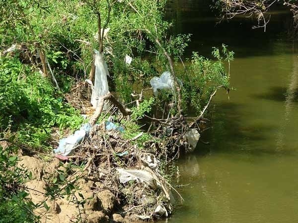 Dzięki tej akcji z brzegów rzek w Krośnie mają zniknąć śmieci.