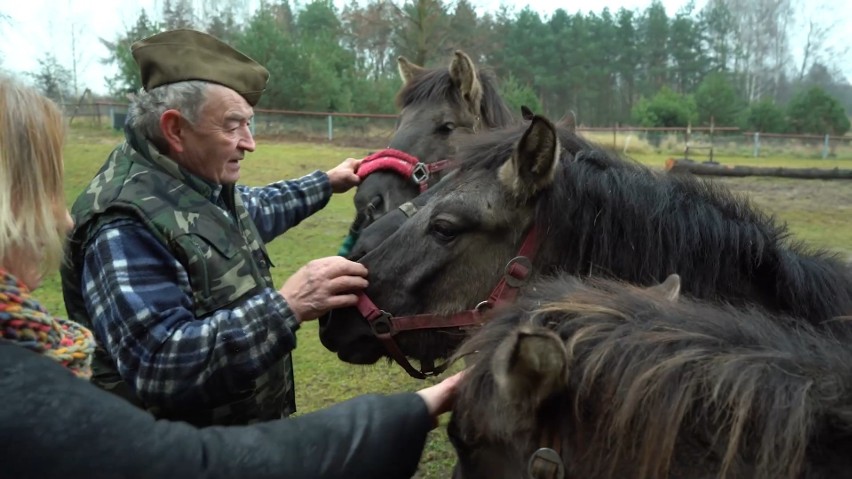 Rodzina Bogusława Oleksika od pokoleń zajmuje się końmi....