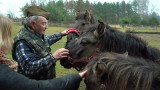 "Spotkanie z ciekawym człowiekiem" w Zwoleniu. Głównymi bohaterami pasjonaci i hodowcy koników polskich (WIDEO, ZDJĘCIA)