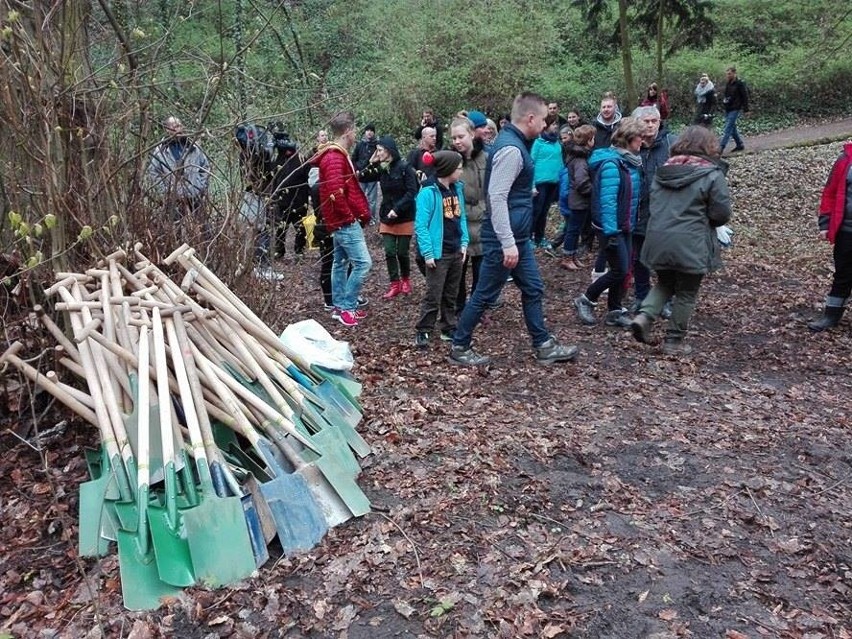 5000 drzew dla Szczecina. Tu będą rosły buki i świerki