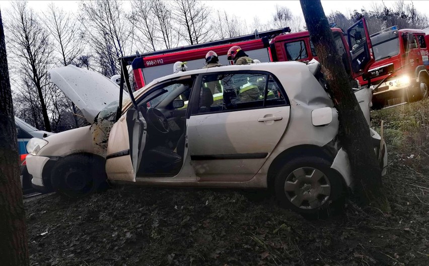Wypadek w Lucynowie, auto rozbiło się na drzewie. 8.01.2021. Zdjęcia