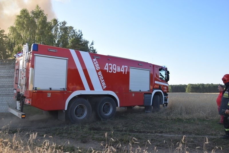 Pożar wysypiska śmieci w Mostkach koło Zduńskiej Woli