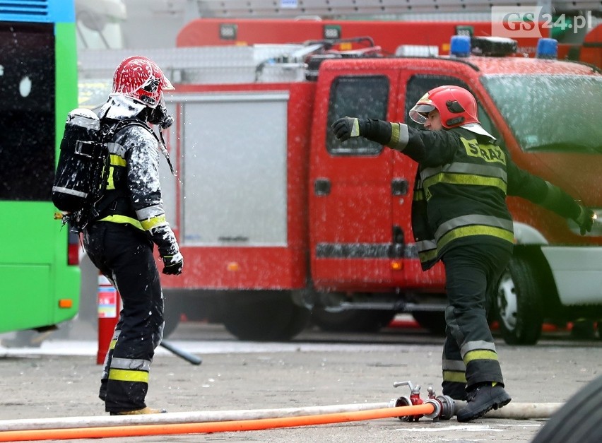 Pożar w bazie PKS w Szczecinie. Trzy autobusy spłonęły doszczętnie [ZDJĘCIA, WIDEO] 