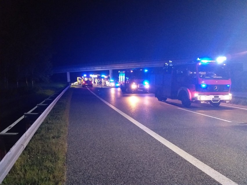Wypadek na S7 w Głuchowie w gminie Grójec. Samochód osobowy zderzył się z łosiem. Dwie osoby w szpitalu. Drastyczne zdjęcia