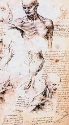 Zapiski i szkice Leonarda da Vinci charakteryzowały się niespotykanymi jak na owe czasy dokładnością i precyzją. Wybitny badacz wyprzedził pod tym względem swoją epokę