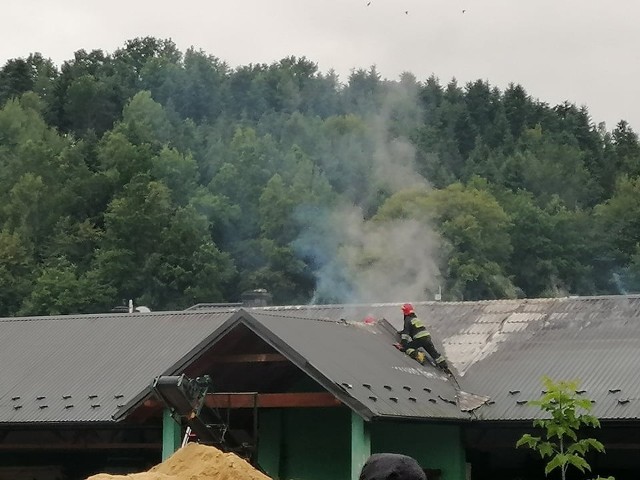 Ogień pojawił się w tartaku w Olszance, trwa dogaszanie