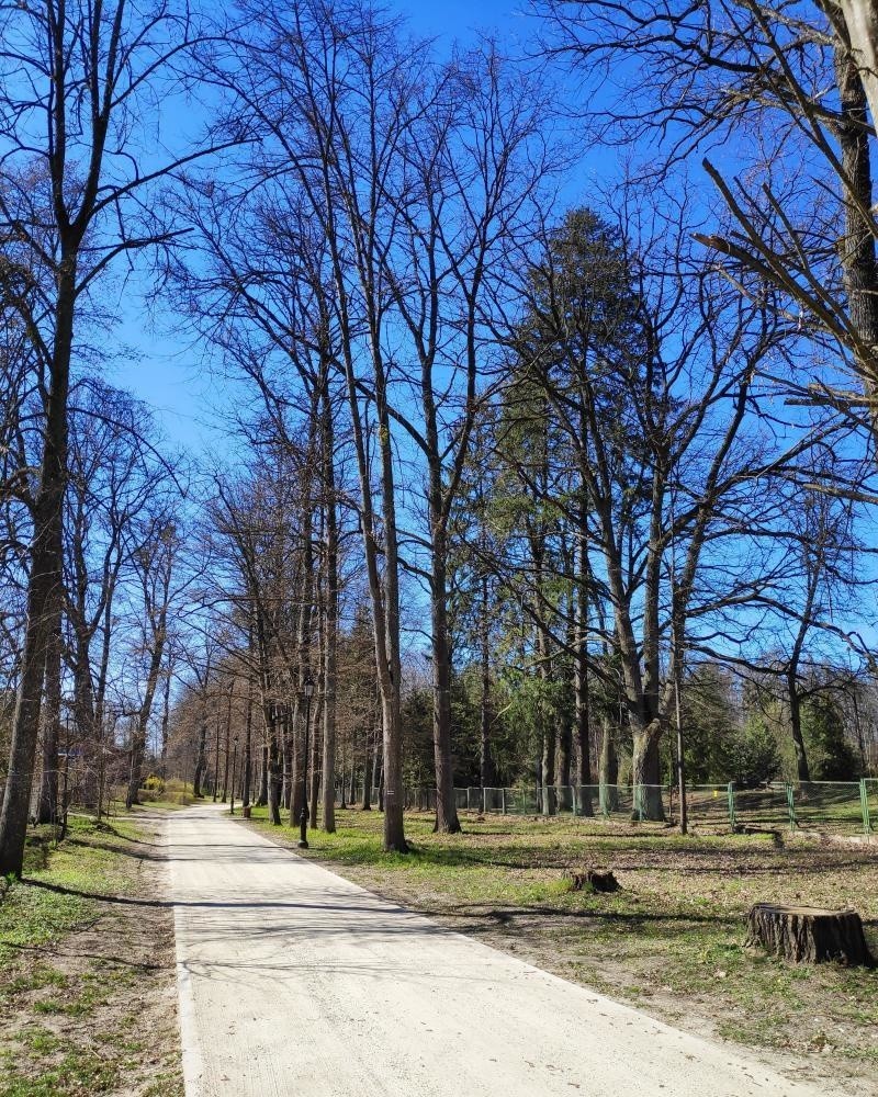 Nowa ścieżka w Parku Dyrekcyjnym w Białowieży otwarta w...