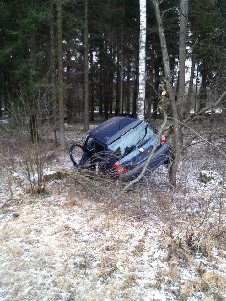 Wypadek na DK65. Chraboły. Renault uderzył w drzewo niedaleko Knyszyna. Dwie osoby trafiły do szpitala