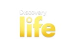 Discovery Life od 1 lutego w Polsce! [WIDEO]  