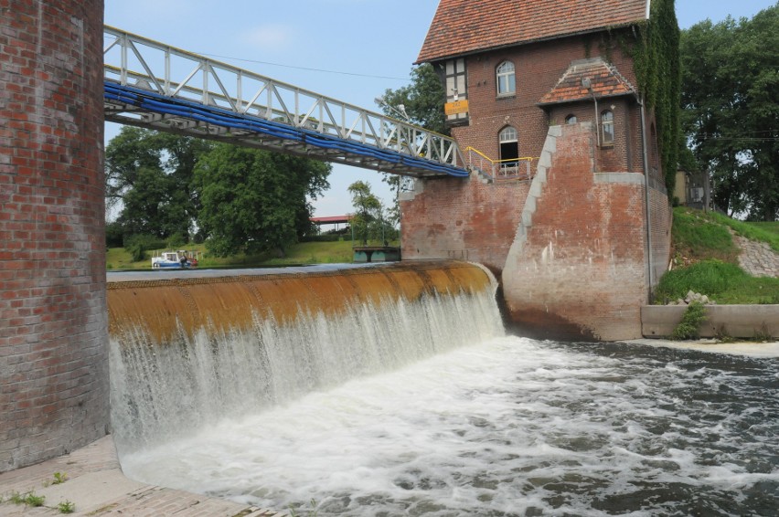 Dąbrowa Chełmińska...