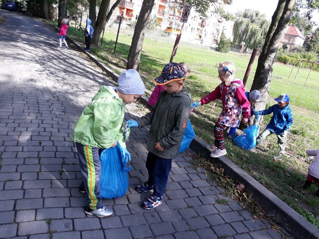 Ponad setka przedszkolaków i uczniów żagańskich szkół sprzątała 24 września miasto.