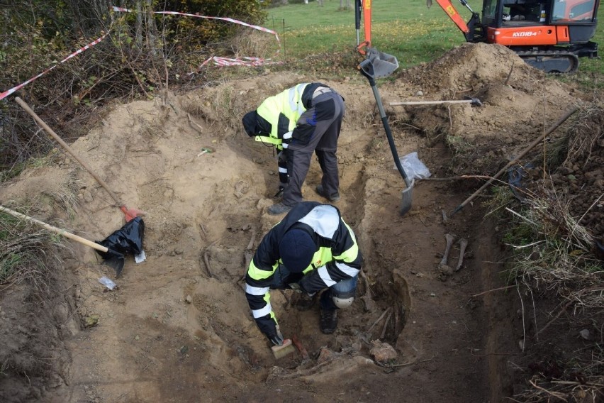 Archeolodzy odkryli w Zęblewie szczątki niemieckich...