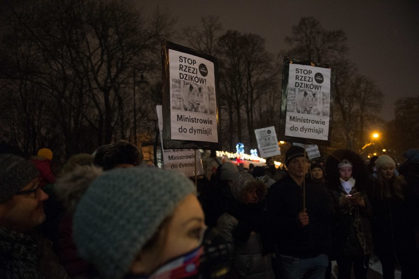 Protest przeciw odstrzałowi dzików pod Sejmem (9/01/2019)