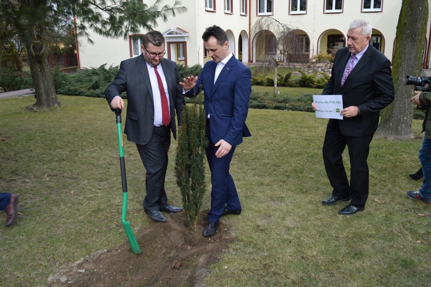Władysław Kosiniak Kamysz, prezes Polskiego Stronnictwa Ludowego zasadził drzewo w Jędrzejowie