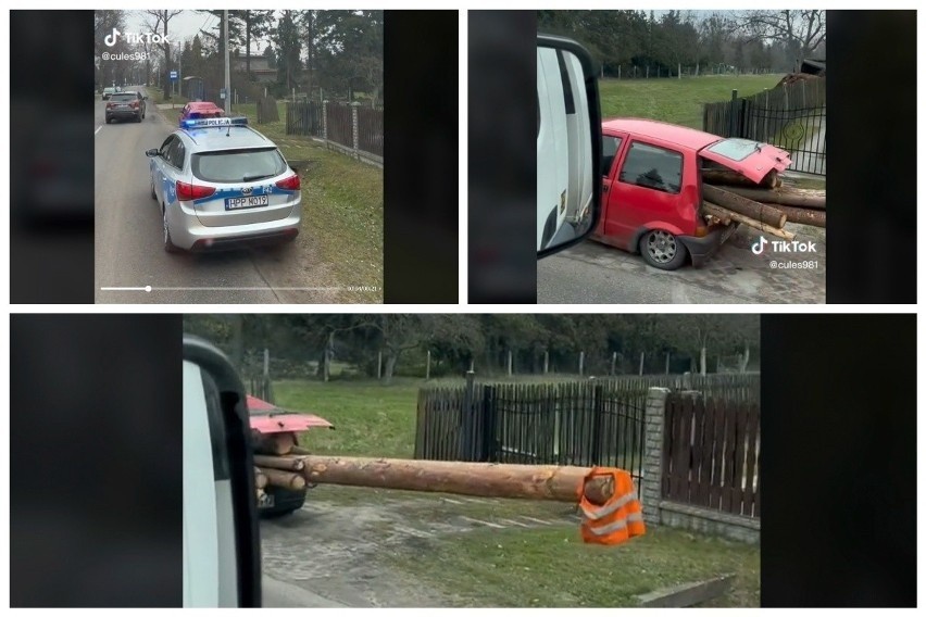 Swoim Cinquecento wiózł potężne bale drewna! ZOBACZ WIDEO. Policjanci w szoku! Ładunek zabezpieczył kamizelką 26.04.2023