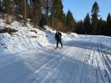W Mucznem w Bieszczadach narciarze pobiegną tropem żubra