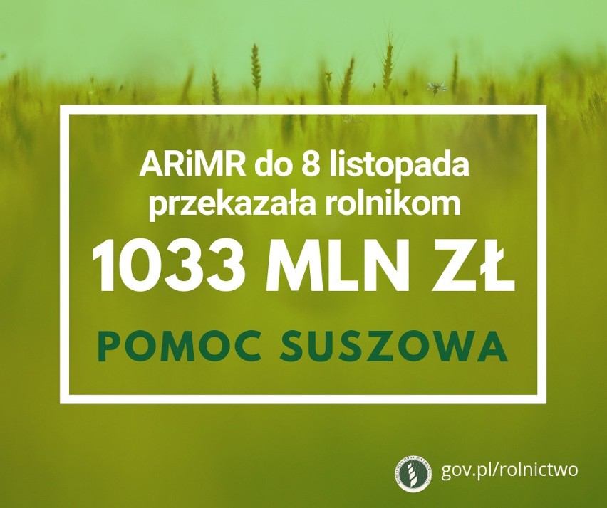 Pomoc suszowa 2018. Minął termin złożenia wniosku! [liczba wniosków do 15.11]