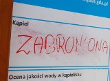 Sinice w Bałtyku. 49 plaż na Pomorzu ma problem z sinicami. To przekleństwo dla turystów i błogosławieństwo dla naukowców [zdjęcia, wideo]