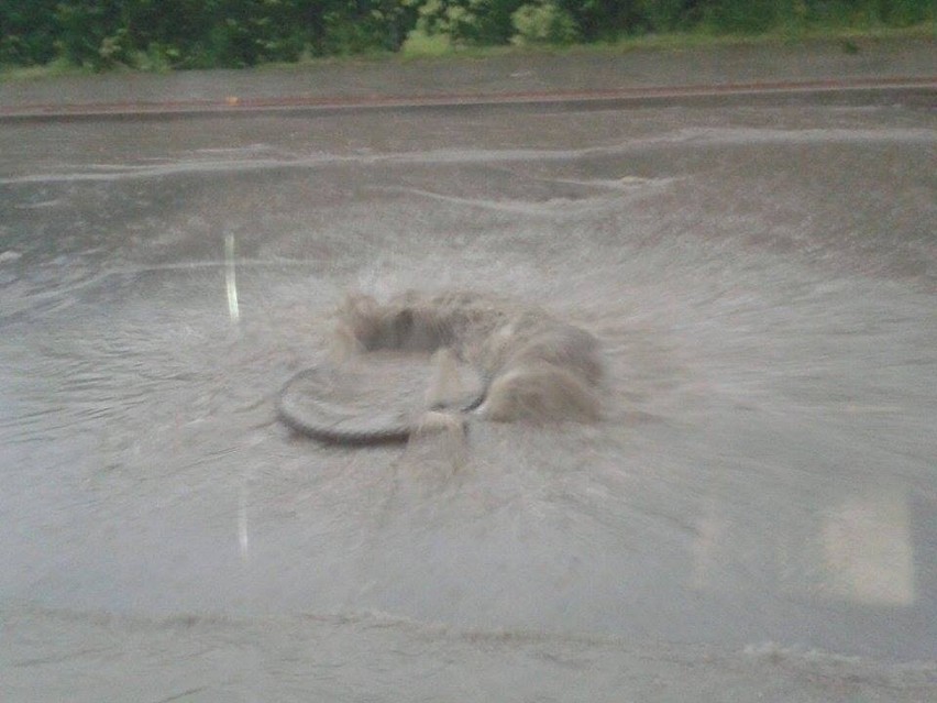 Silne burze z gradem nad Dolnym Śląskiem. Zalana wieś Biegoszów (ZDJĘCIA)