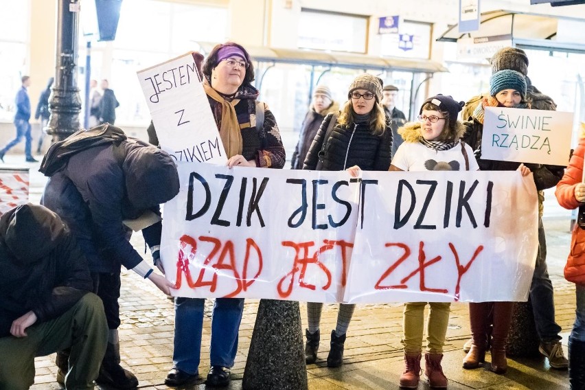 Bydgoski Ruch Antyłowiecki zorganizował protest, aby wyrazić...