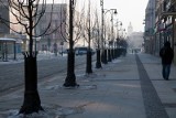 Ulica Lipowa: Lipy mocniej otulone 