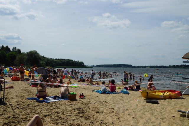 Sinice neurotoksyczne podrażniają lub uszkadzają układ nerwowy, prowadząc do niszczenia komórek, dermatotoksyczne atakują skórę i błony śluzowe.