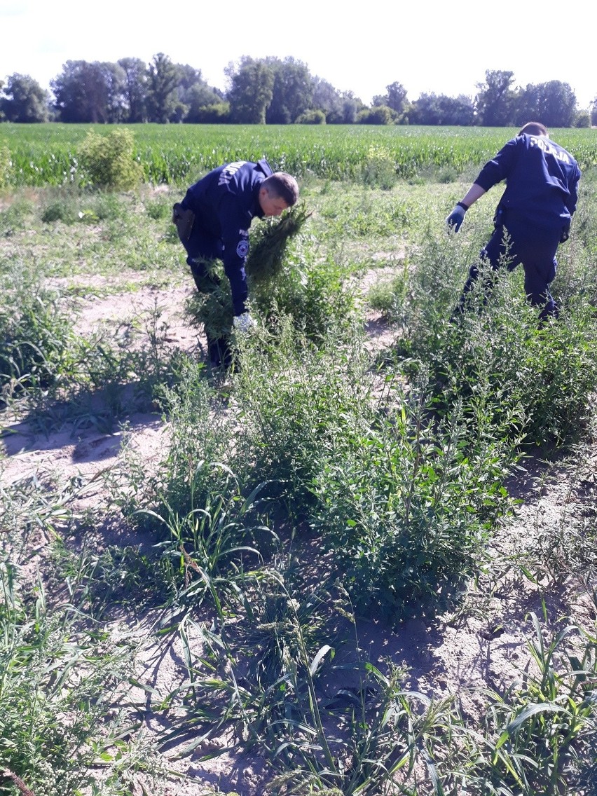 Policjanci ustalili, że to właśnie w Słońsku Górnym...