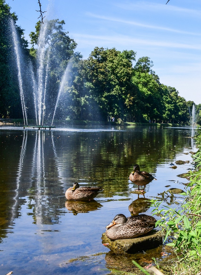 Pierwszy spacer cyklu „Zostań turystą w swoim mieście” w...