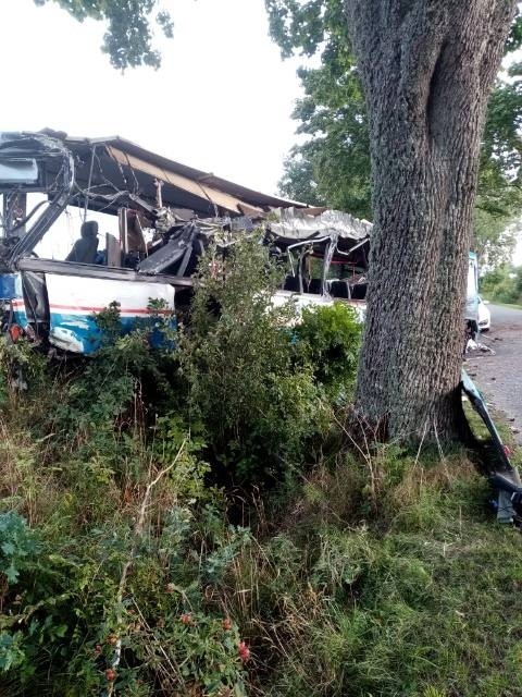 Autobus PKS uderzył w drzewo. Kierowca pod wpływem alkoholu