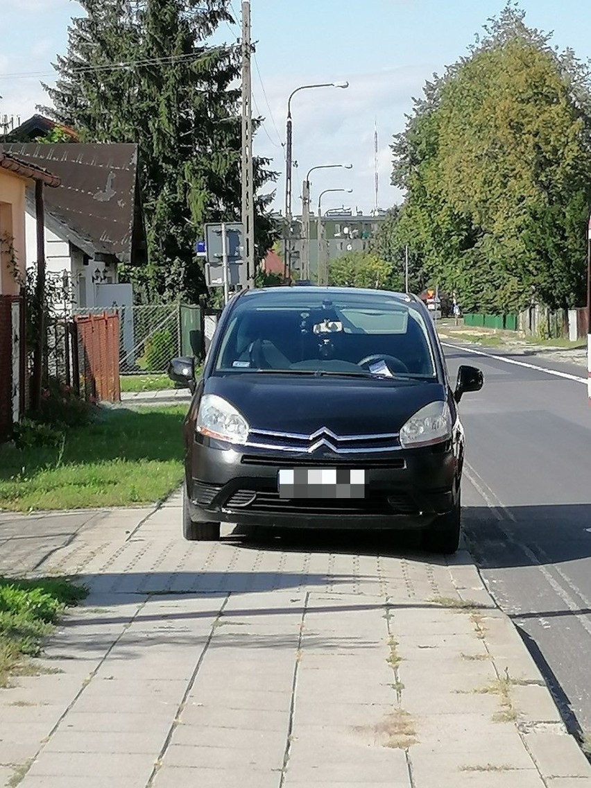 Poprosiliśmy internautów o zdjęcia radomskich Mistrzów...