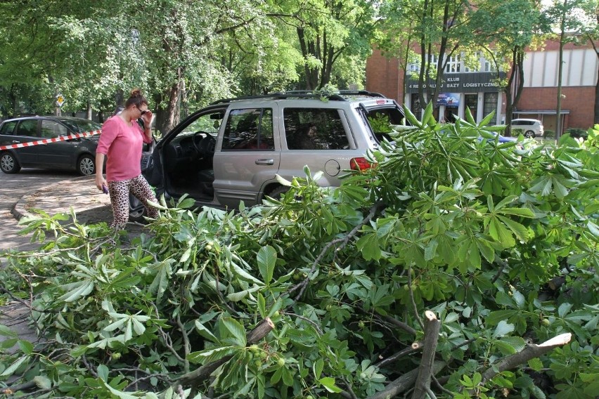 Wrocław: Drzewo przewróciło się na ul. Pretficza. Trzy samochody uszkodzone