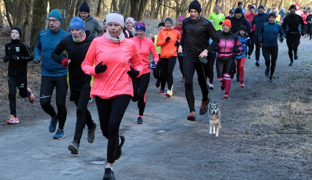 Walentynkowy bieg parkrun po lesie komunalnym w Grudziądzu. Uczestnicy pokonali dystans 5 kilometrów. Zobacz zdjęcia
