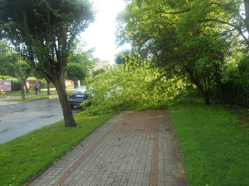 Skutki nawałnicy w Ciechocinku