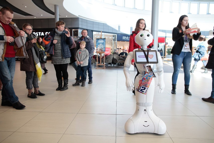 Humanoidalny robot Weegree one (można go spotkać w CH...