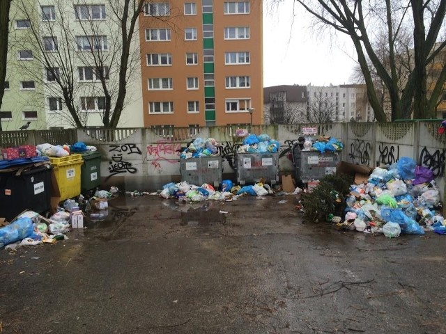 - Tak wyglądają śmietniki po zmianie firmy wywozowej na osiedlu Chrobrego. Jak tak dalej będzie, to szczury nam się zalęgną... - pisze pani Maria