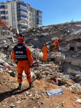 Sądeccy ratownicy wrócili z akcji po trzęsieniu ziemi w Turcji. Spod gruzów wyciągnęli 12 osób. Sześć z nich wskazał psi ratownik