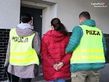 Wodzisławska policja rozbiła grupę przestępczą, która mogła wyłudzić nawet 14 milionów zł. Zatrzymano w tej sprawie 6 osób