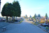 Kwesta na cmentarzach w Sosnowcu. Pieniądze na odnowienie grobów zbierać będzie Stowarzyszenie Ku Pamięci
