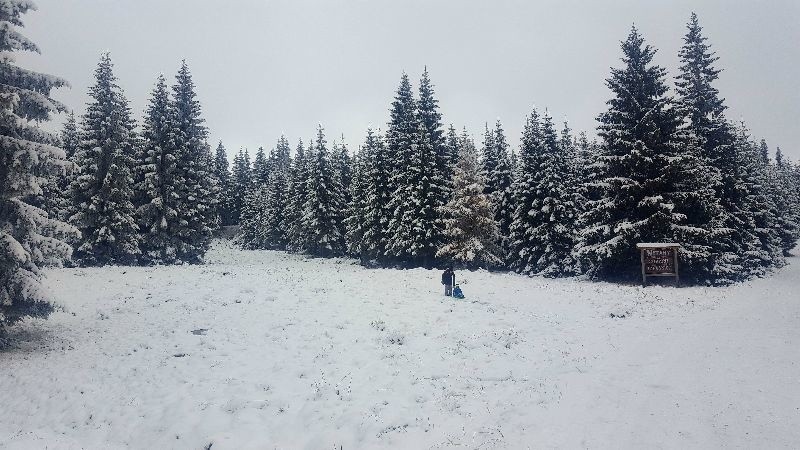 Ależ biało! Na Dolnym Śląsku już zima [WASZE ZDJĘCIA]