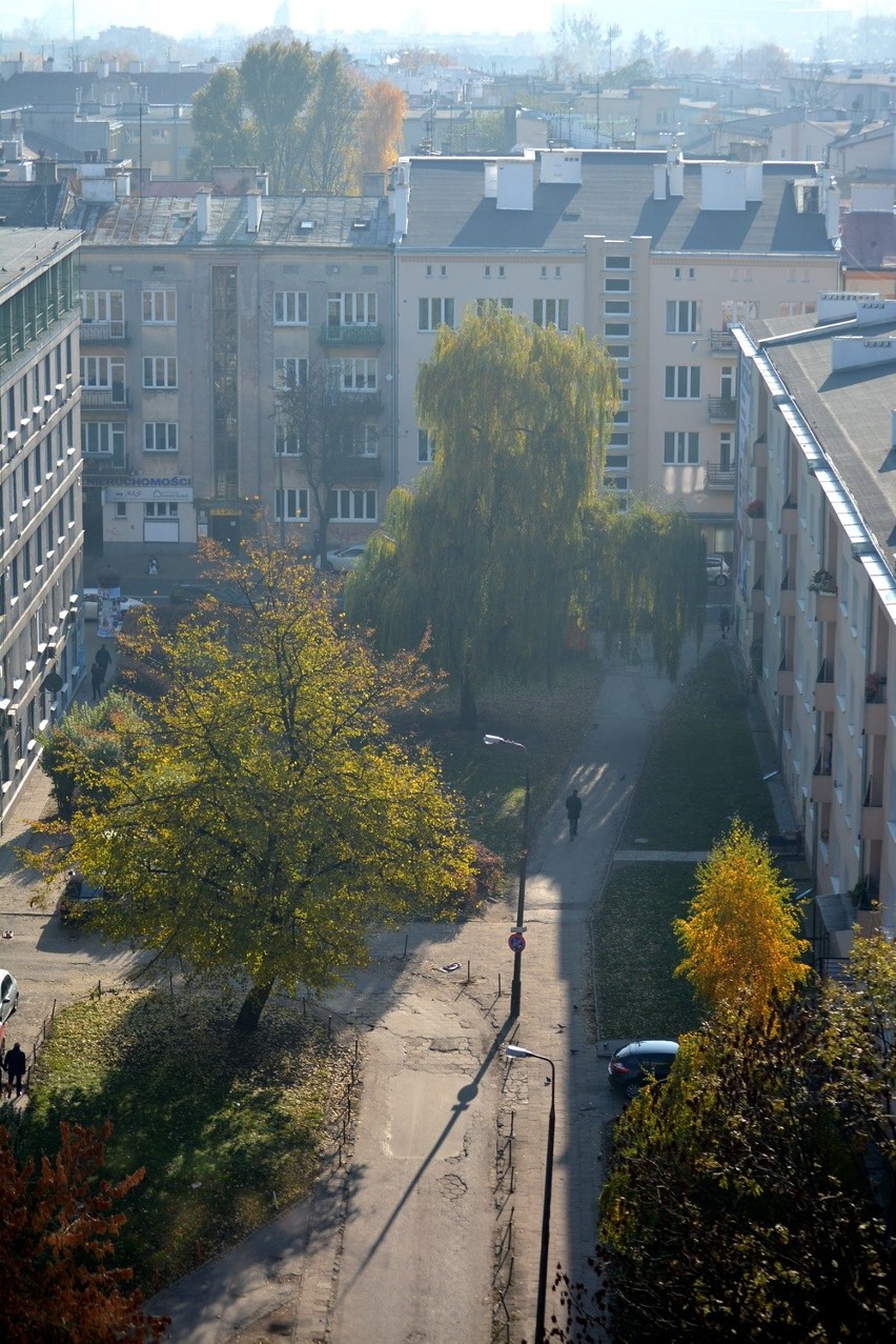 Widok z biurowca przy ul. Karłowicza w Lublinie