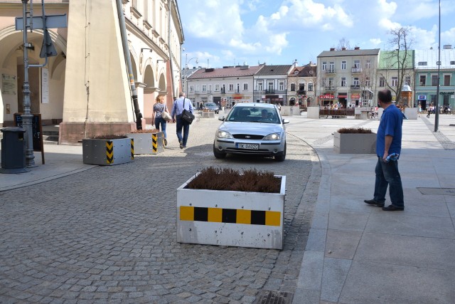 We wtorek po południu donice na Rynku już stały na swoim miejscu.